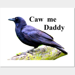 Caw Me Daddy Posters and Art